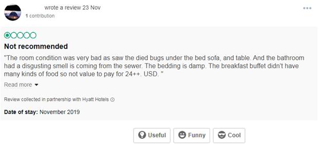 tripadvisor local listing